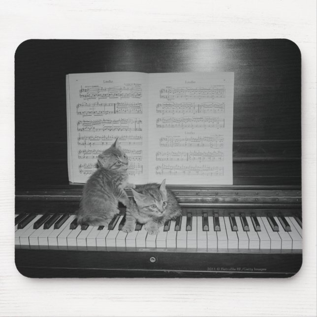Two kittens sitting on piano keyboard by sheet mouse pad (Front)