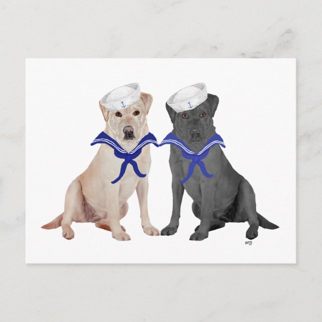 Two  Labrador Retrievers Postcard (Front)
