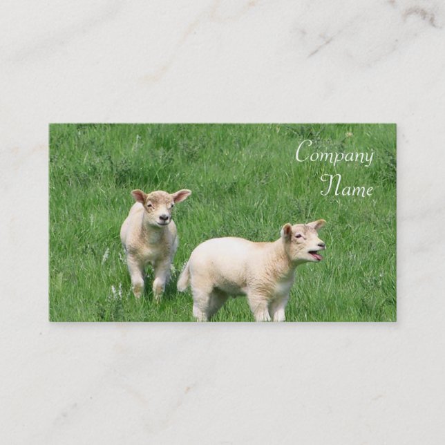 Two Lambs Business Cards (Front)