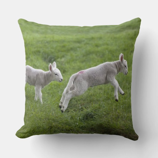 Two Lambs Cushion (Front)