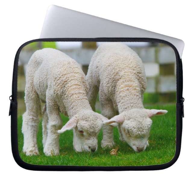 Two Lambs Grazing Laptop Sleeve (Front)