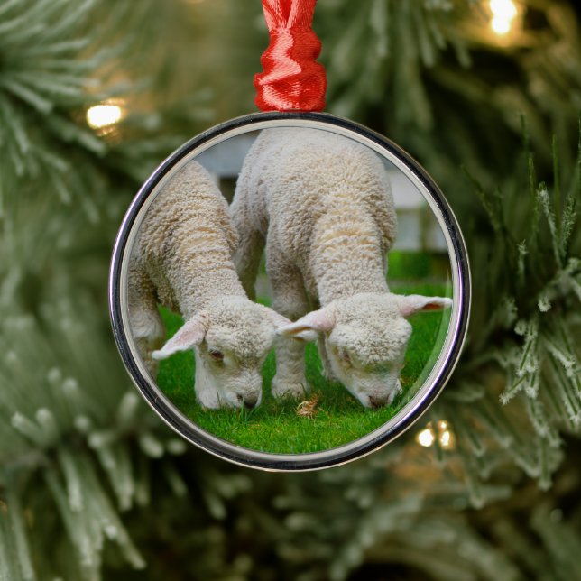 Two Lambs Grazing Ornament (Tree)