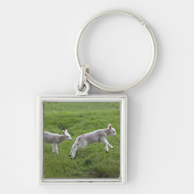 Two Lambs Key Ring (Front)