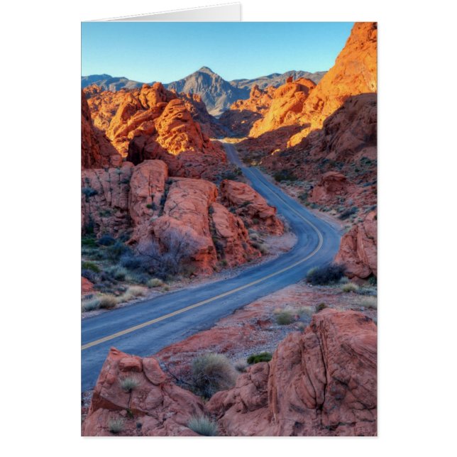 Two Lane Splendour (Front)