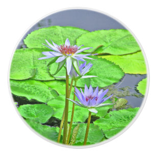 TWO LAVENDER LOTUS BLOSSOMS &GREEN LILY PADS CERAMIC KNOB