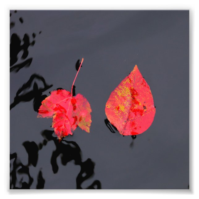Two leaves going nowhere photo print (Front)