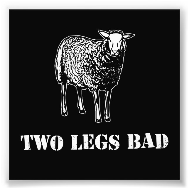 Two Legs Bad Sheep Photo Print (Front)