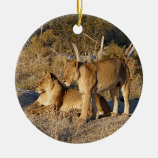 TWO LIONESSES TOGETHER CERAMIC ORNAMENT