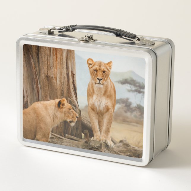 Two Lions Metal Lunch Box (Front)