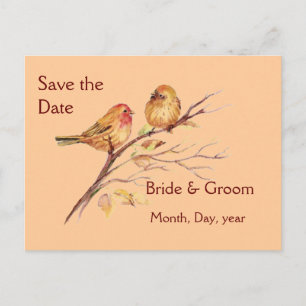 Two Little Bird Sparrows Peach Brown Rustic Nature Announcement Postcard