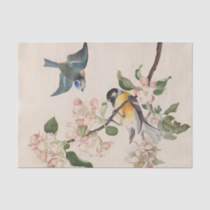 Two little birds near a branch of apple blossoms, tissue paper