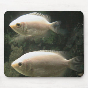 Two Little Fish Mouse Pad