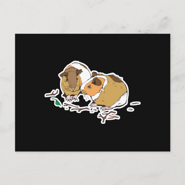 two little guinea pigs postcard (Front)
