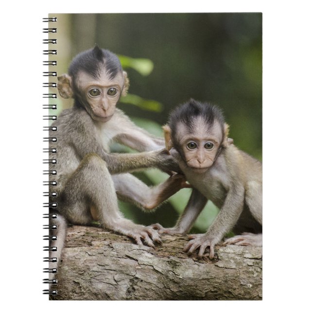 Two Little Monkeys Notebook (Front)