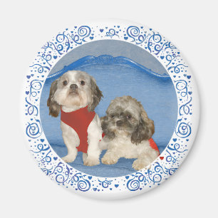 Two Little Shih Tzu Rescue Doggies Magnet