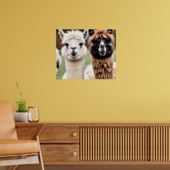 Two Llamas Poster (Living Room 2)