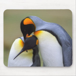 Two love penguins mouse pad