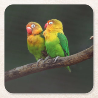 Two Lovebirds on a Branch Square Paper Coaster