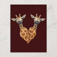 Two Lovely Giraffes