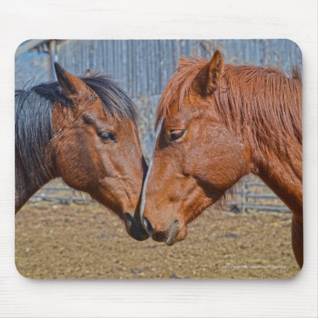 Two Loving Horses Equine Photo Mouse Pad (Front)