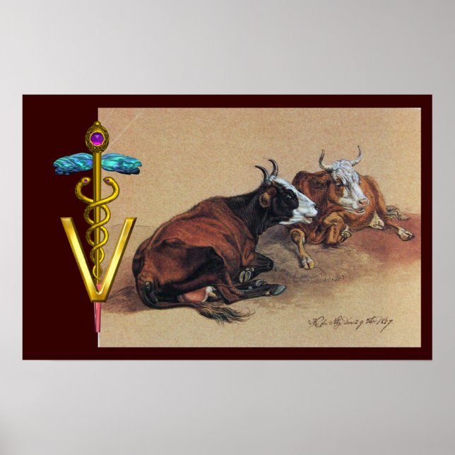 TWO LYING COWS GOLD CADUCEUS VETERINARY SYMBOL POSTER (Front)