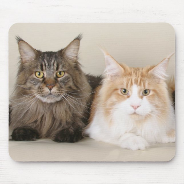 Two Maine Coon Cats Mouse Pad (Front)