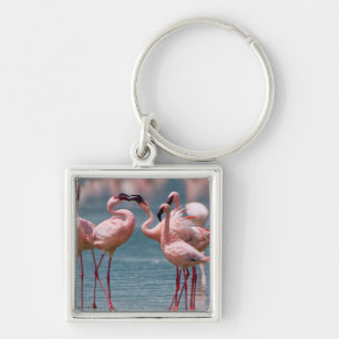 Two Male Lesser Flamingos (Phoenicopterus Minor) Key Ring