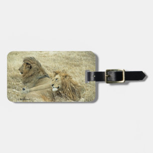 Two Male Lions Luggage Tag