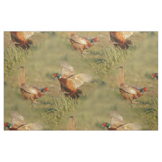 Two male ring-neck pheasants fighting. fabric