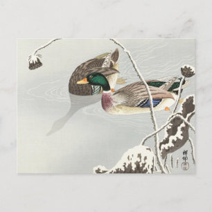 Two Mallards near a Snow-Covered Lotus Painting Postcard