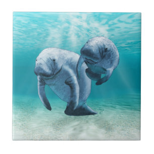 Two Manatees Swimming Ceramic Tile