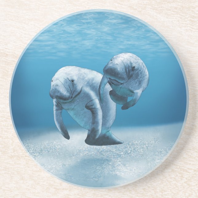 Two Manatees Swimming Coaster (Front)