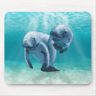 Two Manatees Swimming Mouse Pad