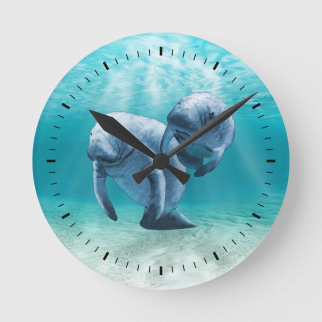 Two Manatees Swimming Round Clock (Front)