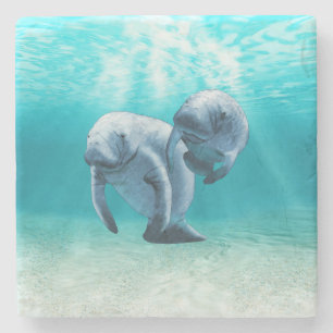 Two Manatees Swimming Stone Coaster