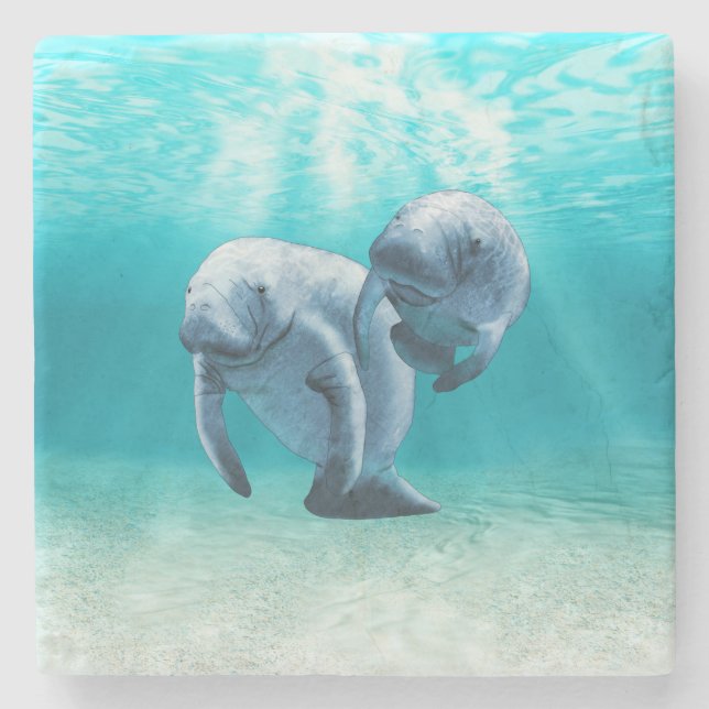 Two Manatees Swimming Stone Coaster (Front)