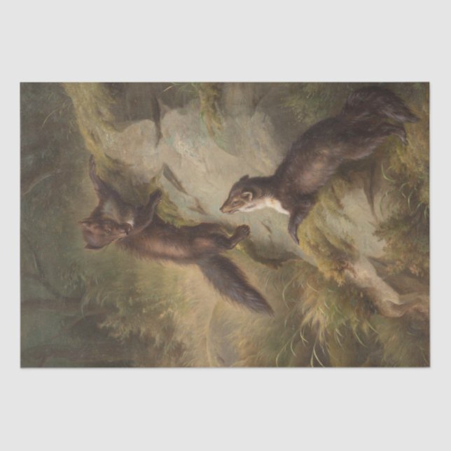 Two Martens on a Stone in the Forest Tissue Paper (Front)