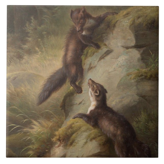 Two Martens Playfully Fighting in the Woods Ceramic Tile (Front)