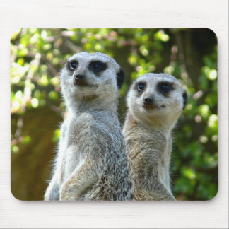Two Meerkats Mouse Pad