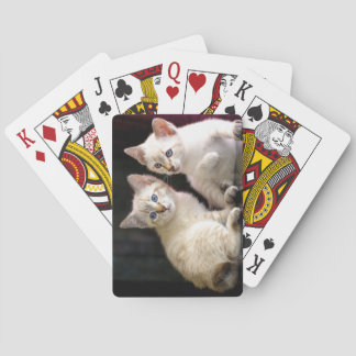 Two Mekong Bobtail Tabby Point Kittens Playing Cards