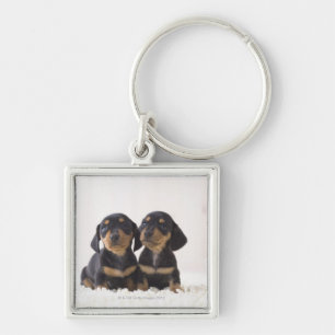 Two Mini Dachshund Sitting Key Ring