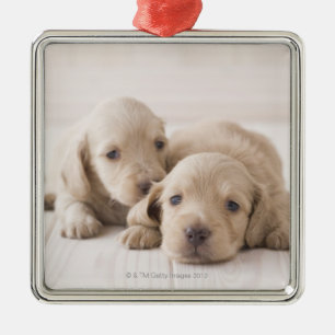 Two Miniature Dachshund Metal Ornament