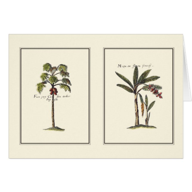 Two Miniature Framed Palm Trees (Front Horizontal)