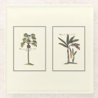 Two Miniature Framed Palm Trees