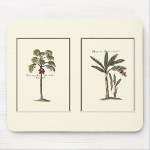 Two Miniature Framed Palm Trees Mouse Pad