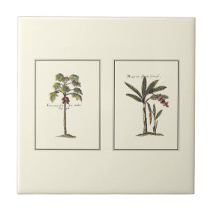 Two Miniature Framed Palm Trees Tile