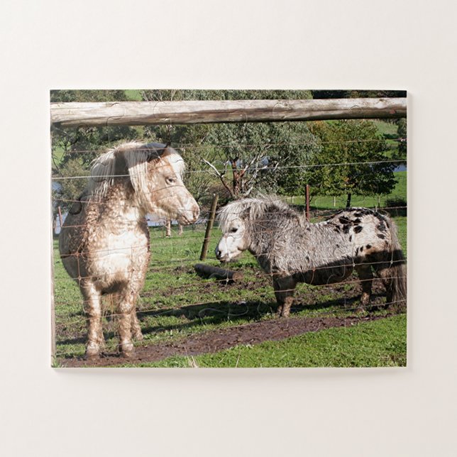 Two miniature ponies in a paddock jigsaw puzzle (Horizontal)