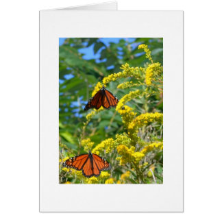 Two Monarchs