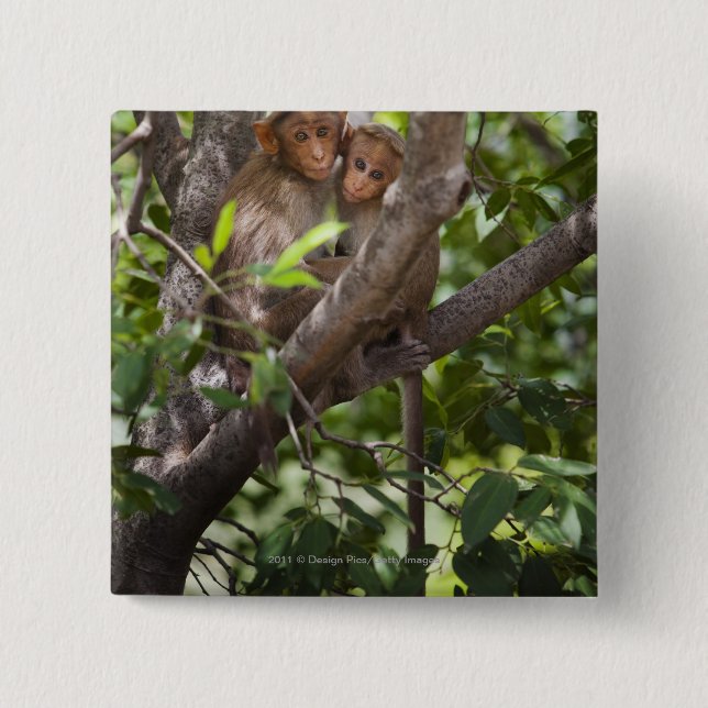 Two Monkeys In A Tree 15 Cm Square Badge (Front)