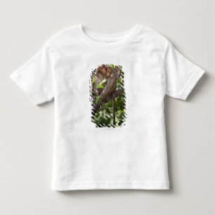 Two Monkeys In A Tree Toddler T-Shirt